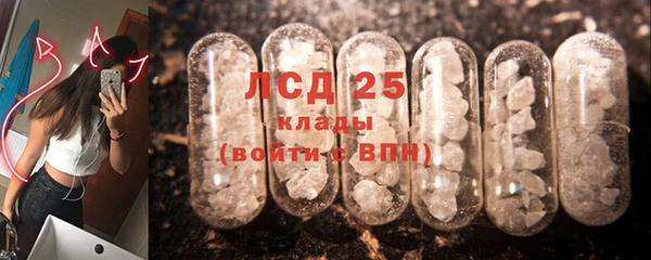 PSILOCYBIN Алзамай