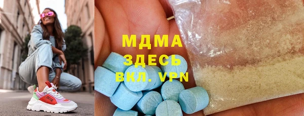 PSILOCYBIN Алзамай