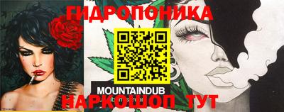 ПСИЛОЦИБИНОВЫЕ ГРИБЫ Нарткала