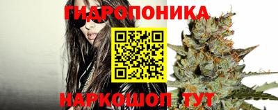 ПСИЛОЦИБИНОВЫЕ ГРИБЫ Нарткала